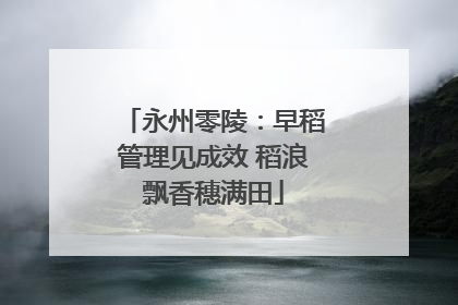 永州零陵：早稻管理见成效 稻浪飘香穗满田